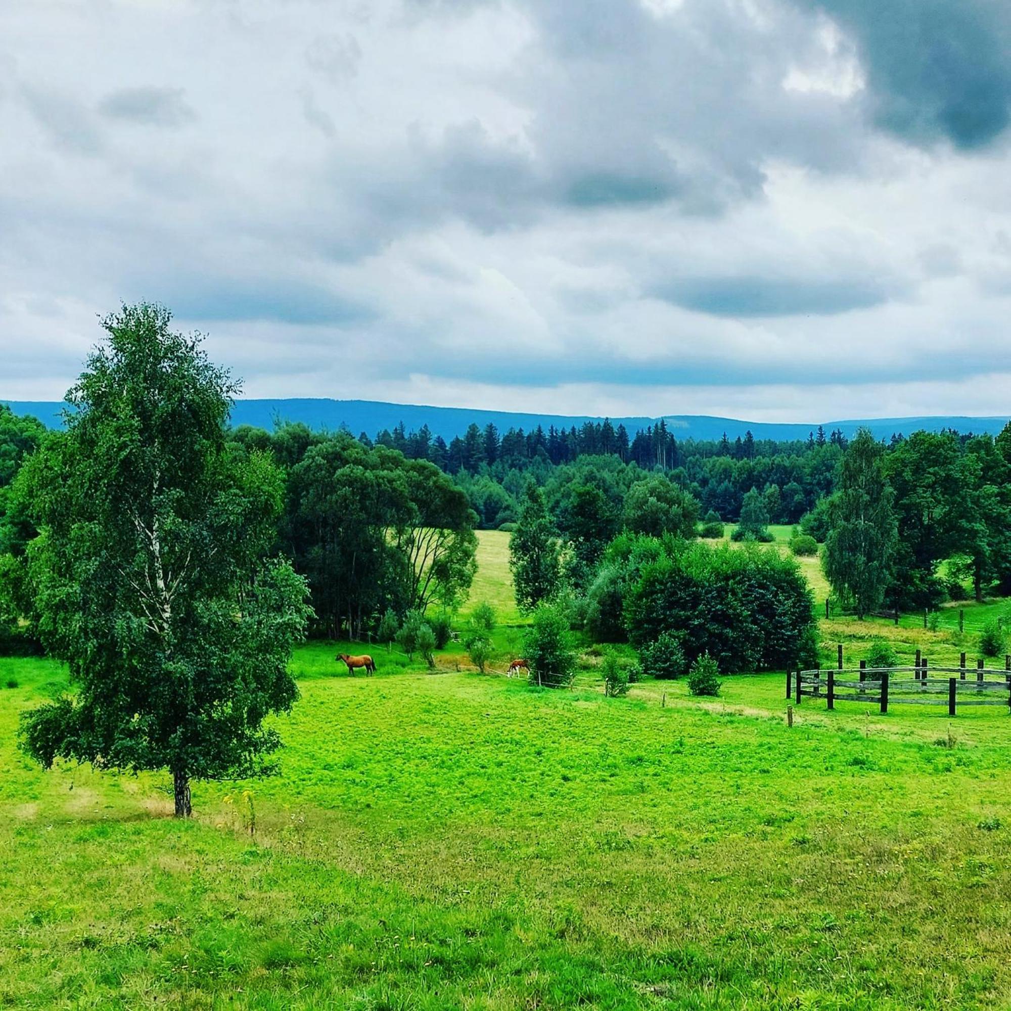 Maja Pokoje Z Widokiem Kameralna Agroturystyka Na Pogorzu Izerskim Z Sauna I Jacuzzi (Adults Only) Mirsk Kültér fotó