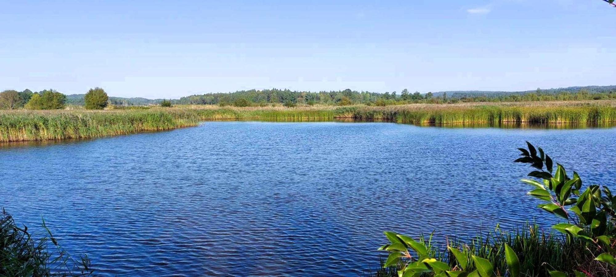 Maja Pokoje Z Widokiem Kameralna Agroturystyka Na Pogorzu Izerskim Z Sauna I Jacuzzi (Adults Only) Mirsk Kültér fotó